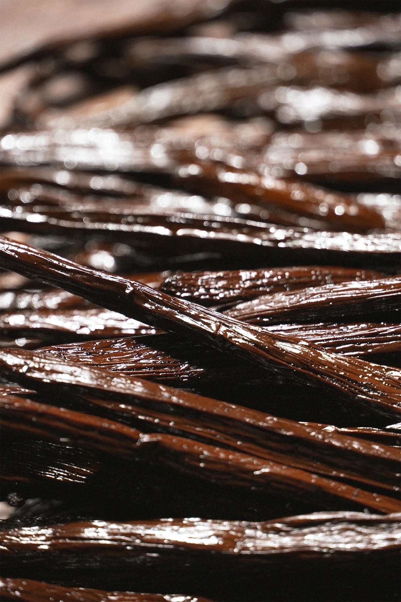 Bourbon Vanilla 250 g – Grand Cru from Madagascar
