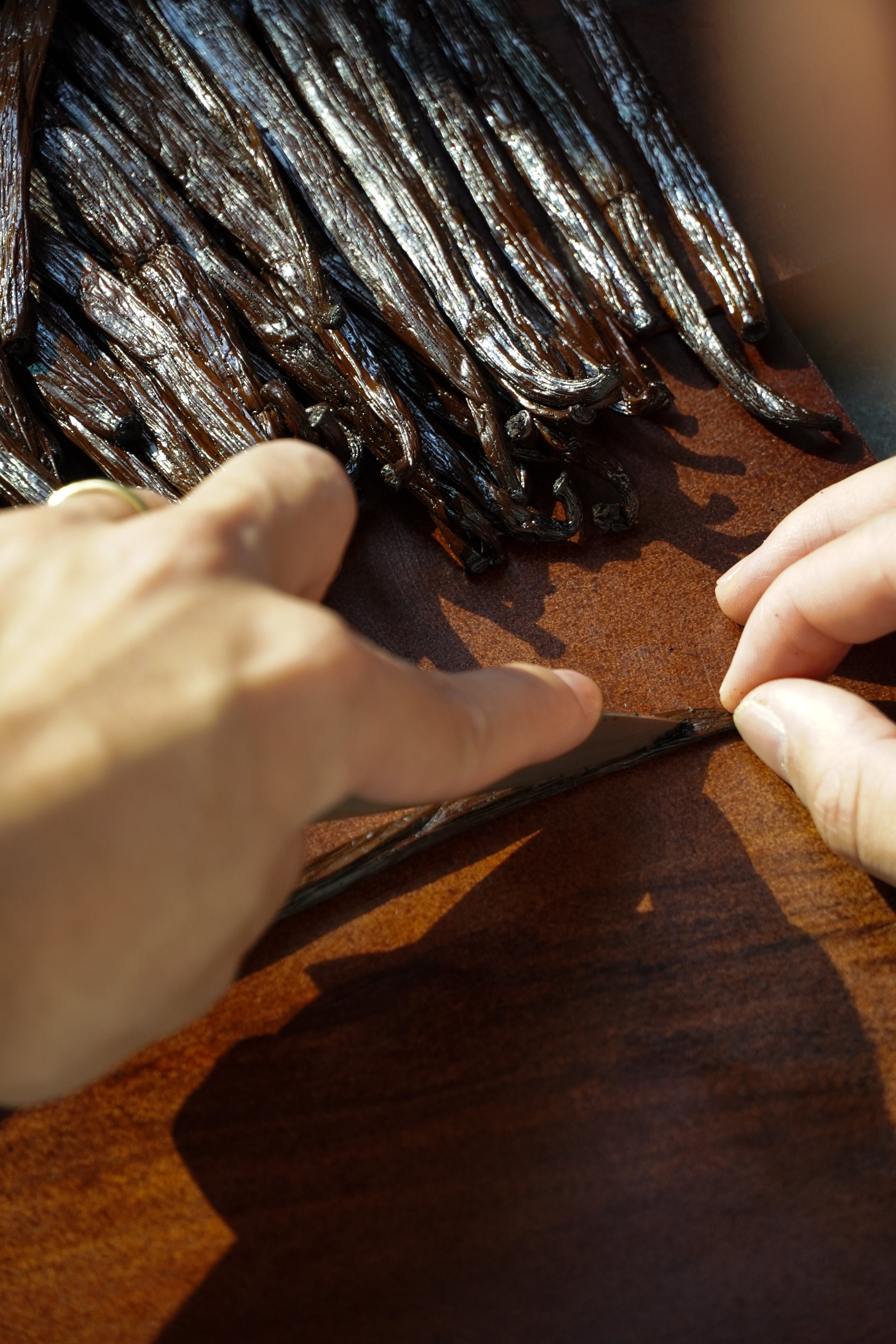 Bourbon Vanilla 1 kg – Premium Selection Madagascar