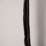 Vanille Bourbon 2 kg – Grand Format Artisan & Pro - Vanillya 