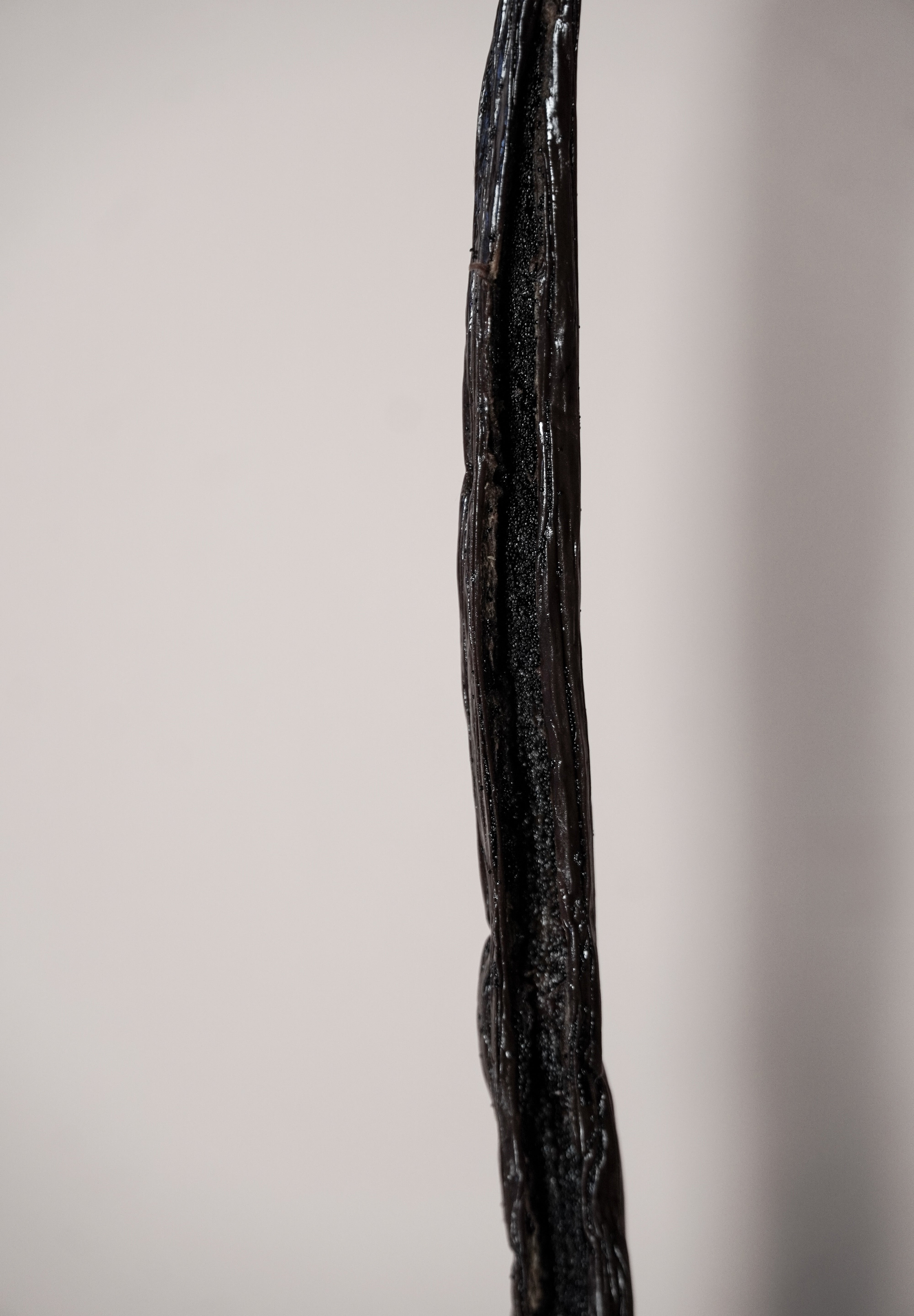 Vanille Bourbon 2 kg – Grand Format Artisan & Pro - Vanillya 