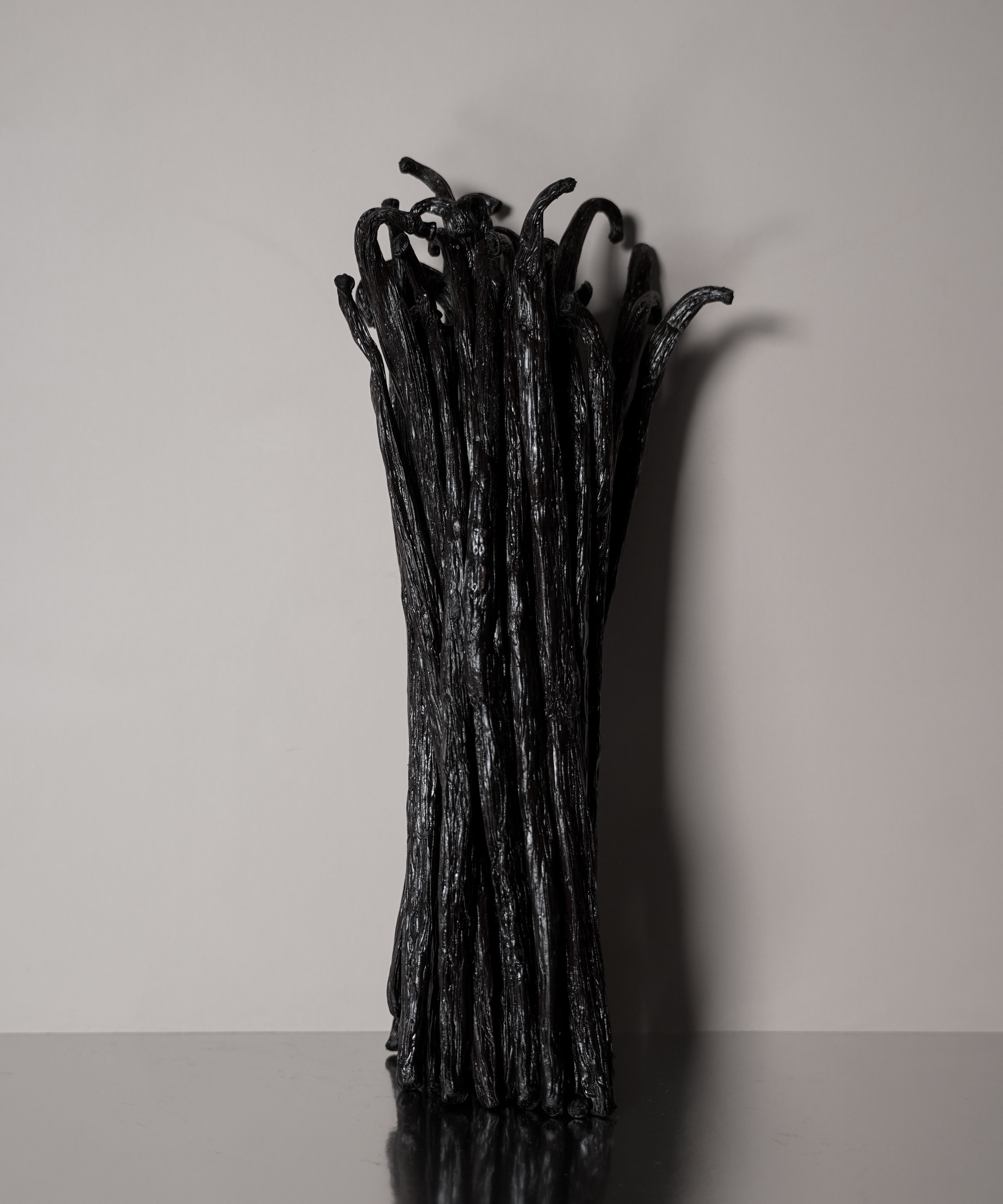 Vanillya Vanille Bourbon 2 kg pack featuring a rich, aromatic vanilla bean design on the packaging.