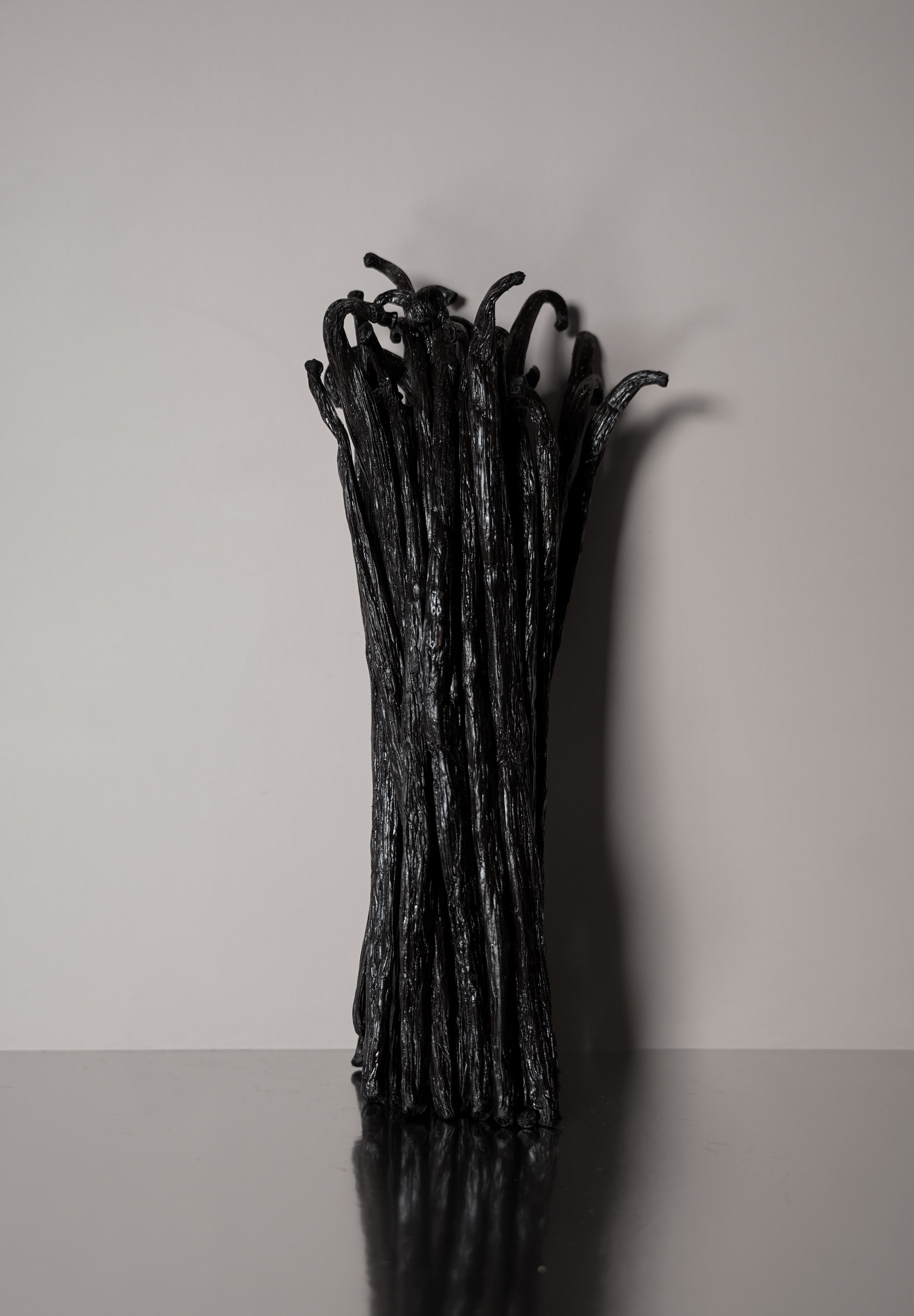 Vanillya Vanille Bourbon 2 kg pack featuring a rich, aromatic vanilla bean design on the packaging.