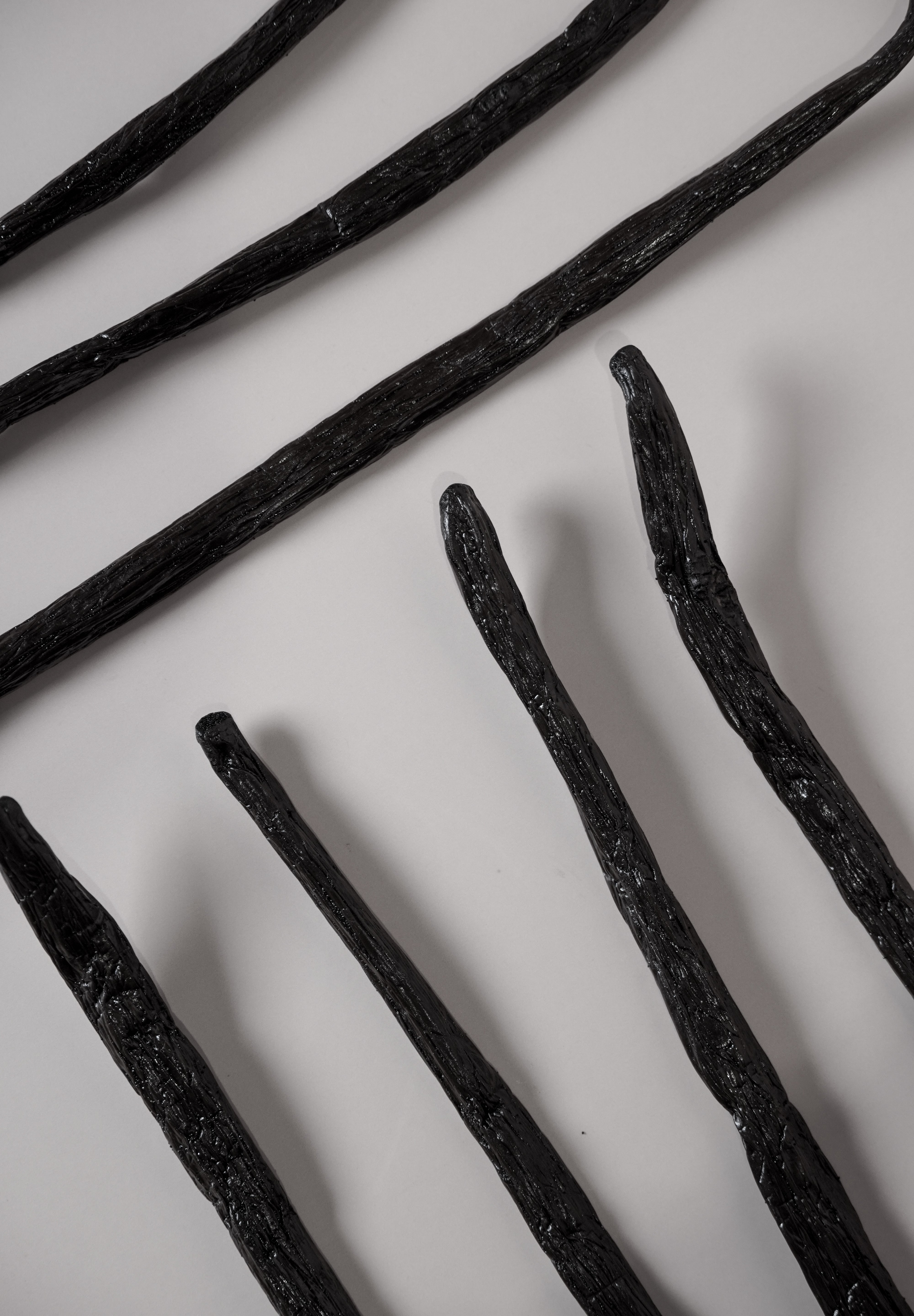 Vanillya Vanille Bourbon 2 kg artisan vanilla beans in a sealed bag, showcasing rich, dark brown color and texture.