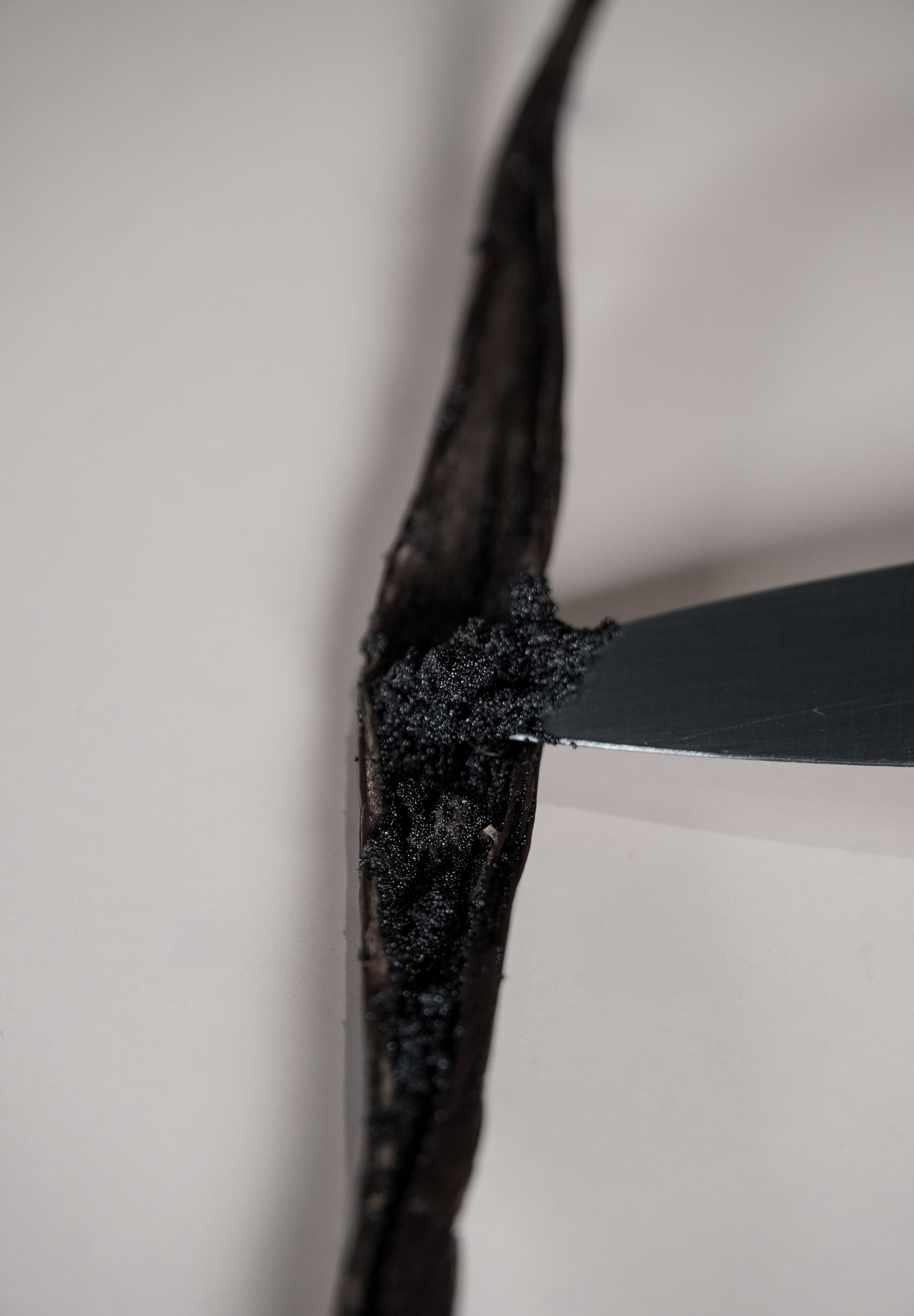 Vanille Bourbon 2 kg – Grand Format Artisan & Pro - Vanillya 